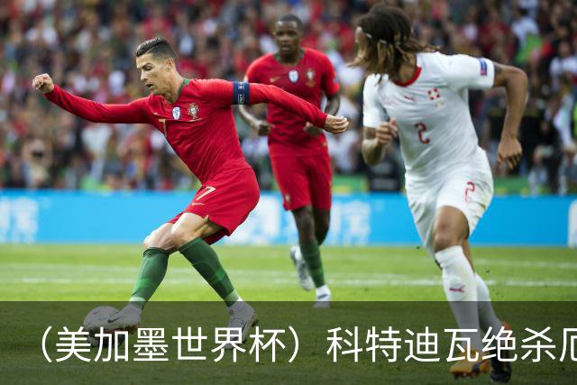 （美加墨世界杯）科特迪瓦绝杀厄瓜多尔 瑞典5:1大胜突尼斯